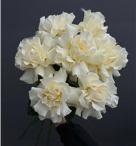Французские белые розы 7 шт.
