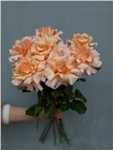 Французские персиковые розы 7 шт.