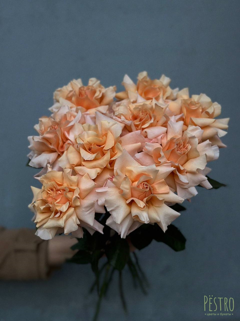 Французские персиковые розы 9 шт.