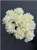 Французские белые розы 11 шт.