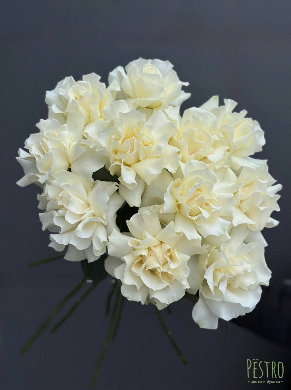 Французские белые розы 11 шт.