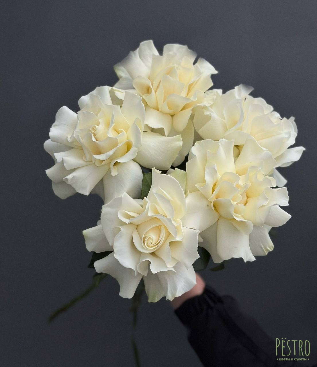 Французские белые розы 5 шт.